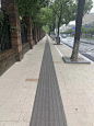 盲道