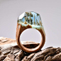 Wooden Rings with Magnificent Tiny Fantasy Landscapes