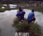 【关注@韩禹杰】图片 - 内涵社区(neihanshequ.com)