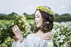 越南 美丽的花朵 自然 花卉背景 百合 亚洲 花 户外的 花壁纸