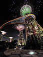 Singapore Super-Trees light show