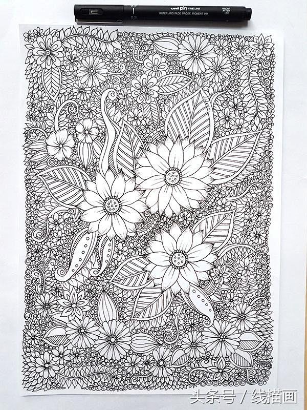 黑白装饰画，线描花朵