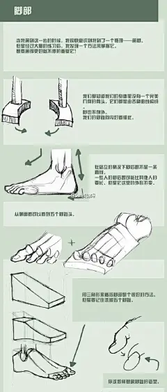 ##SAI资源库# 人体躯干绘画参考，包括骨骼、膝盖、肌肉、坐姿，站姿躺姿，脚部、值得练练手，自己收藏。转需~