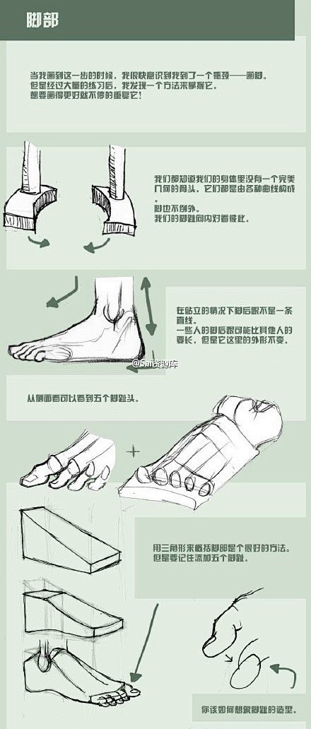 ##SAI资源库# 人体躯干绘画参考，包...