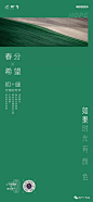 【作品】2021春分微信精选
