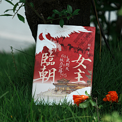 一个半熟的丸子采集到摄影(产品)