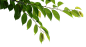 JZ_004