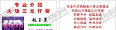 仔猪名片 【酷图网】猪名片,名片,猪,仔猪,仔猪名片