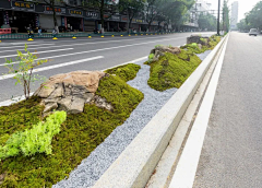 别墅花园设计师采集到道路