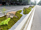 美图直击丨市区这条街的绿化带成了一幅瓯江山水画