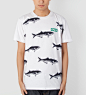 only White Bluefish tee 鯥鱼