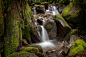 Rainforest Creek by Edmund Lowe on 500px