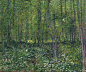 Vincent_van_Gogh_-_Trees_and_undergrowth_-_Google_Art_Project.jpg (2979×2481)