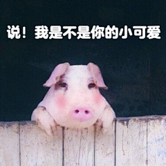 Crush丶采集到表情包