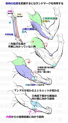 墨意非攻采集到【技能】【绘画】人体