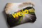 8+ Creative Brochure Design Ideas & Examples - Daily Design Inspiration #16 - Venngage Gallery : Need some new ideas to help you create the perfect creative brochure? Check out some of these beautiful & professional creative brochure design ideas!