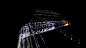 Roger Dubuis - "Paiting with Light"