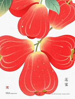 莲雾 - 小红书