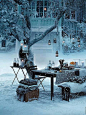 瑞典 - 斯德哥爾摩。雪中野餐。