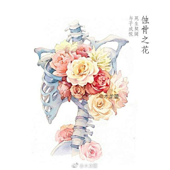 清芒果采集到教程/手绘