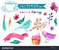水彩花收集不同的设计与鸟,羽毛、蝴蝶和丝带,向量-背景/素材,自然-海洛创意(HelloRF)-Shutterstock中国独家合作伙伴-正版图片在线交易平台-站酷旗下品牌