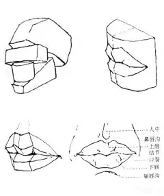 头部&amp;五官结构理论汇总