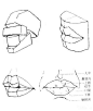 头部&五官结构理论汇总