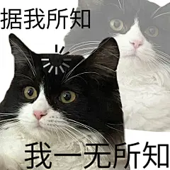 表情包