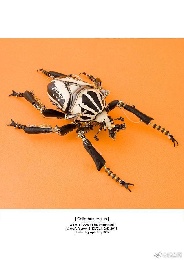 Shovel Head 宇田川 誉仁 昆虫フィギュア Craft Factory Shovel Head