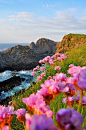 Sea Cliffs, Cionn Mhálanna, Ireland