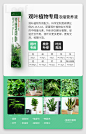 营养液花肥花肥料花卉养花家用通用型绿萝植物盆栽发财树水培多肉-tmall.com天猫