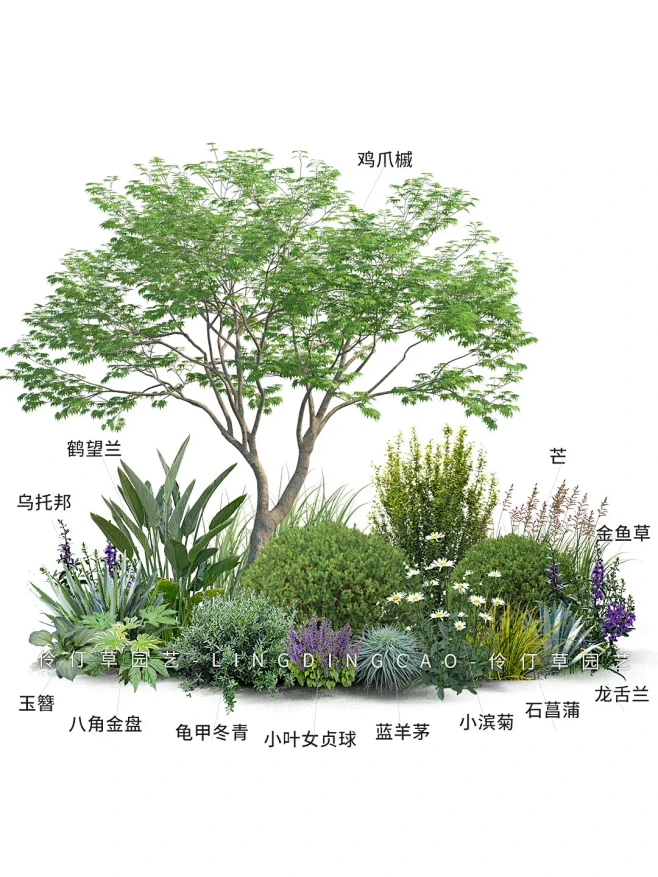 春季花境植物组团造景 植物清单大公开 - 小红书-花瓣网