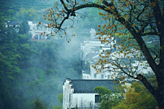 抬头望飞机采集到风景