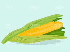 玉米矢量  - 源文件下载【酷图网】玉米矢量,玉米,玉米卡通,玉米手绘,蔬菜