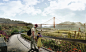 James Corner Field Operations wins major competition to design a new national park in San Francisco : Acclaimed landscape architecture firm James Corner Field Operations just won an international competition for the Presidio Parklands, a new 13-acre natio