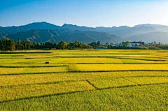 墨点24采集到农场 种植基地 生产基地 原产地