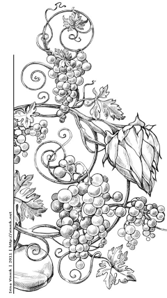 KentSea采集到插画
