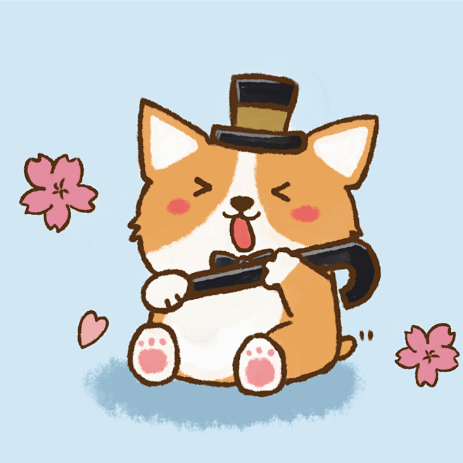 小布丁柯基爱魔术