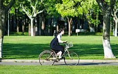 校园单车女孩图片壁纸