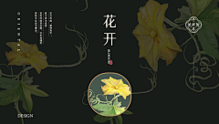 Hellolink采集到品牌策划全案
