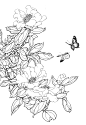 茶花 (28)