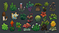 plants, Anton Bakhmat : some exotic plants