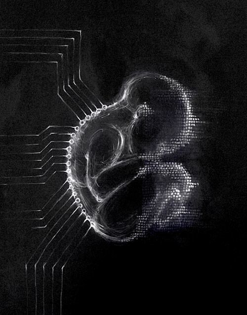 Babie DNA chip