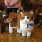 Photos of Animals Retouched to Look Like Real-Life Minecraft Creatures : Jakarta-based designer and retoucher Aditya Aryanto posed the question: what would the blocky digital creatures in Minecraft look like if they actually walked the Earth? The result i