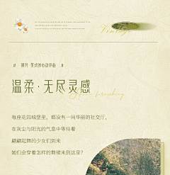 Ting♀采集到法式