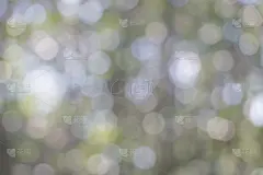 自然,背景,蒙太奇,眨眼,水平画幅,夏天,户外,乡村风格,设计师,设计