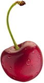 red cherry PNG image, free download