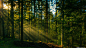 明朝阳光从明尼卡达地区公园的山顶照射下来，采集于Macdown.com预览图，超清原图请到Macdown下载。热带雨林，深林世界，野外，森林，大自然的美，热带雨林里的美景