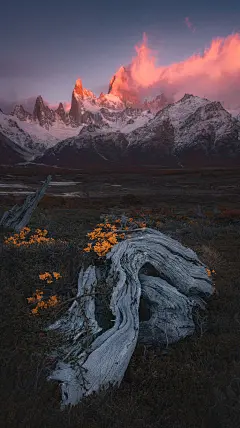 有没有全面屏的手机壁纸推荐？ - 知乎 : 旅行摄影师来发福利啦，以下的壁纸都是我在世界各地拍摄的，全部制作成1440*2560的高清全面屏尺寸，放在…