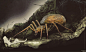 Spiders, Wietze Fopma : Spider creature designs